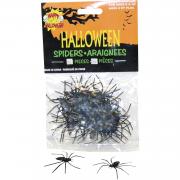 Spiders
