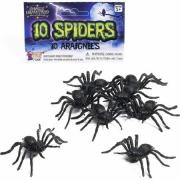 Spiders